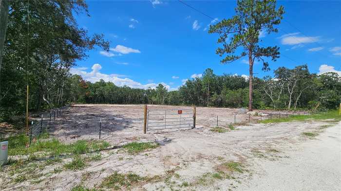 photo 2: 35391 OVERCUP DRIVE, WEBSTER FL 33597