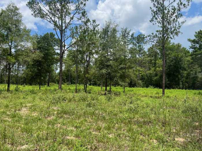 photo 4: TBD NE 78TH LANE, BRONSON FL 32621