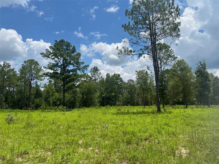 photo 1: TBD NE 78TH LANE, BRONSON FL 32621