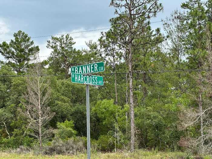 photo 8: 6533 N HARCROSS AVENUE, DUNNELLON FL 34433