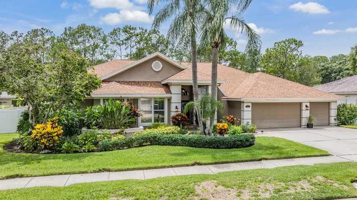 photo 2: 17314 HIALEAH DRIVE, ODESSA FL 33556