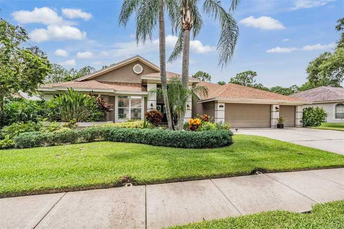 photo 52: 17314 HIALEAH DRIVE, ODESSA FL 33556