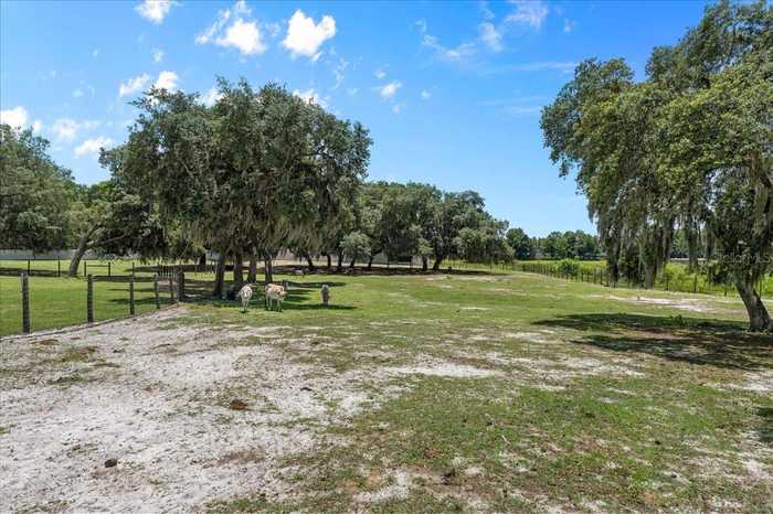 photo 65: 2470 PLACE POND ROAD, DE LEON SPRINGS FL 32130