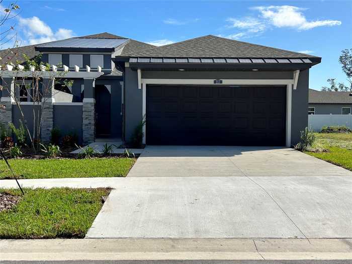 photo 1: 217 VILLA LUNA LANE, LUTZ FL 33549