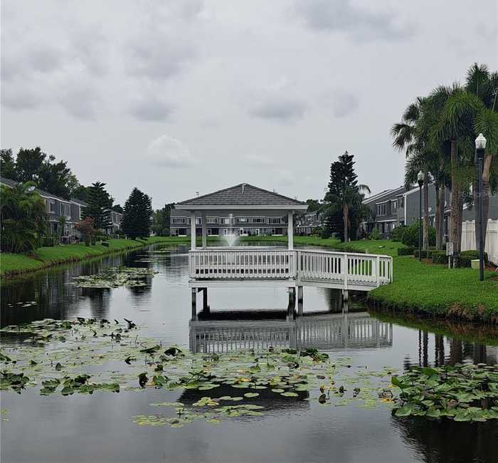 photo 36: 325 COUNTRYSIDE KEY BOULEVARD, OLDSMAR FL 34677