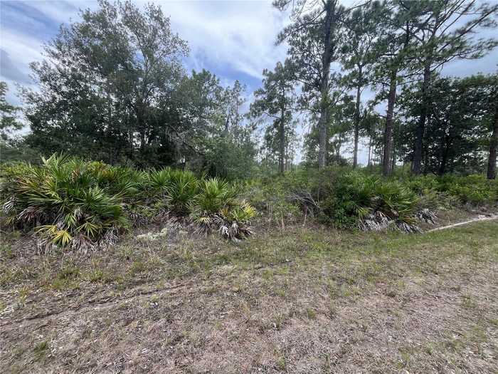 photo 1: 901 LAGUNA DRIVE, INDIAN LAKE ESTATES FL 33855