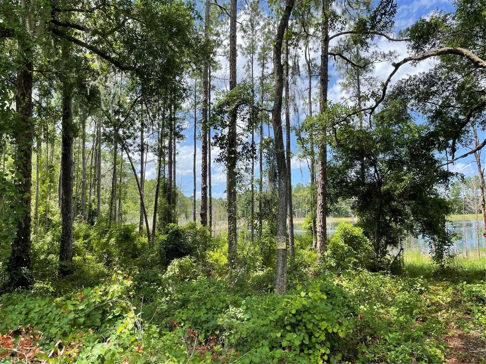 photo 1: TBD SE 49TH ST ROAD, OCKLAWAHA FL 32179