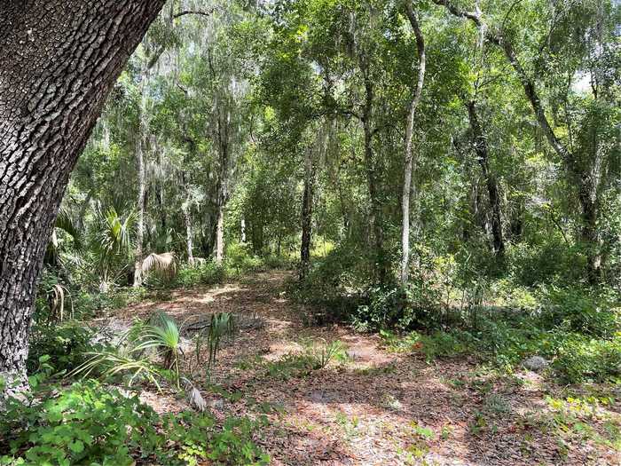 photo 2: TBD SE 49TH ST ROAD, OCKLAWAHA FL 32179