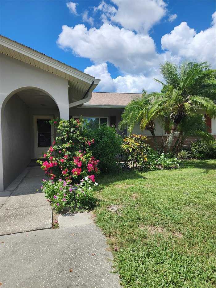 photo 2: 119 STAFFORD DRIVE, PALM HARBOR FL 34684