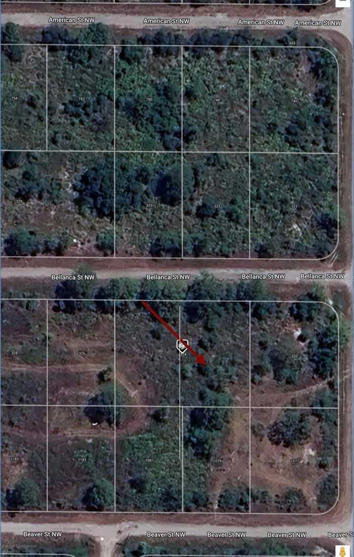 photo 10: LOT 9 BELLANCA STREET NW Unit LOT 9, LAKE PLACID FL 33852