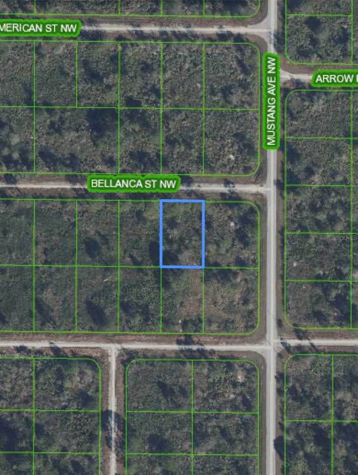 photo 2: LOT 9 BELLANCA STREET NW Unit LOT 9, LAKE PLACID FL 33852