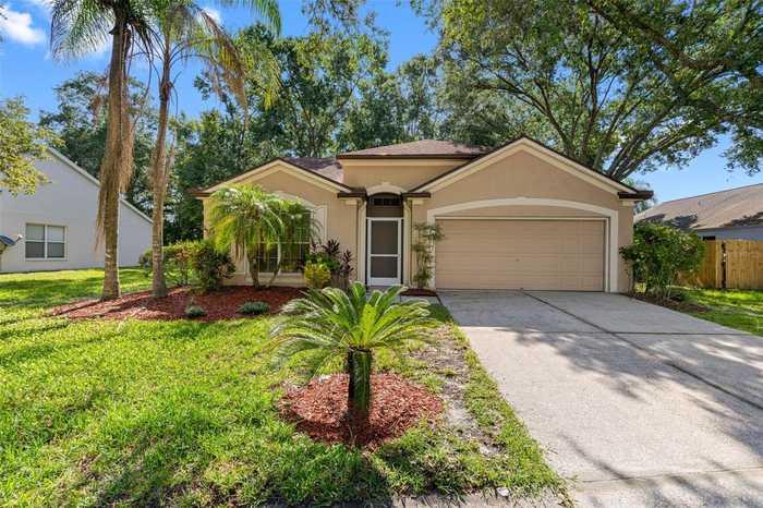 photo 1: 4552 STEEL DUST LANE, LUTZ FL 33559