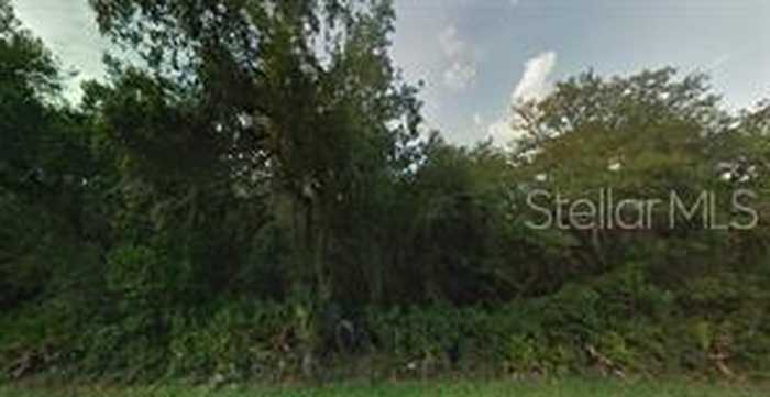 photo 1: NE 48TH AVENUE, CITRA FL 32113