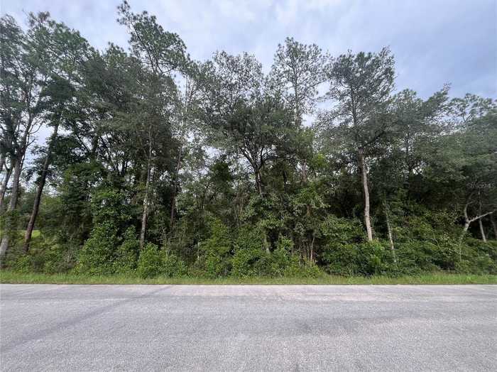 photo 1: HUNTER HILL AVENUE, DUNNELLON FL 34431