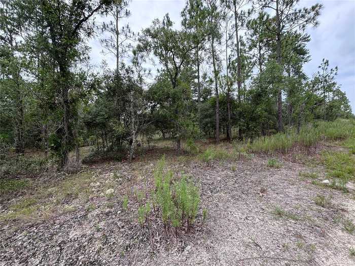 photo 2: 000 SE 129TH CT, DUNNELLON FL 34431