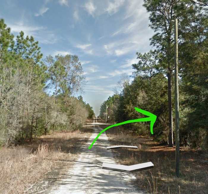 photo 2: TBD NE 156 COURT, WILLISTON FL 32696