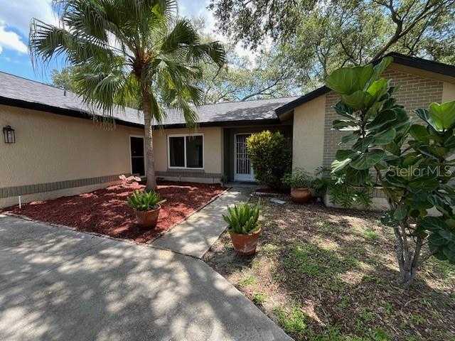 photo 3: 4922 LAKE VALENCIA BOULEVARD W, PALM HARBOR FL 34684