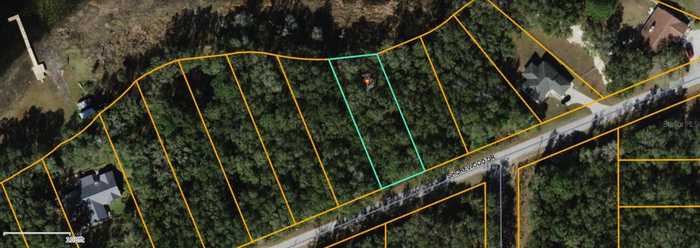 photo 1: TBD SW SHOREWOOD DRIVE, DUNNELLON FL 34431