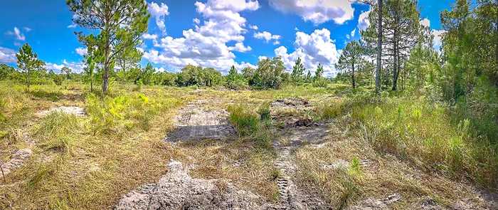 photo 2: OLD GRADE ROAD, POLK CITY FL 33868