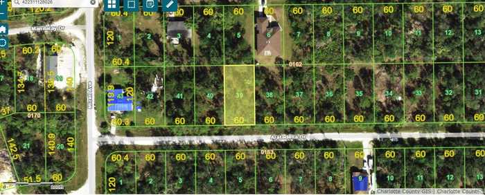 photo 1: 28166 ALATADENA DRIVE, PUNTA GORDA FL 33955