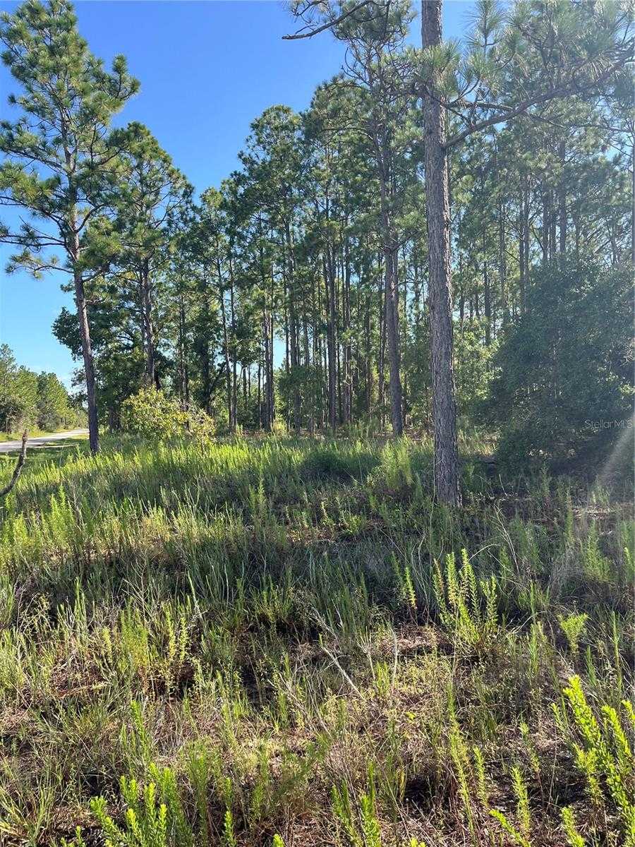 photo 3: Lot 8 SW 209TH AVENUE, DUNNELLON FL 34431