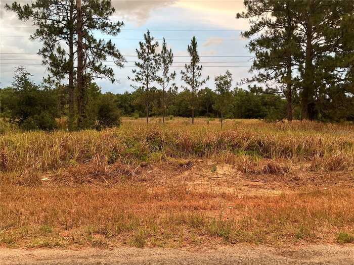 photo 1: TBD SE 115TH PLACE ROAD, OCKLAWAHA FL 32179