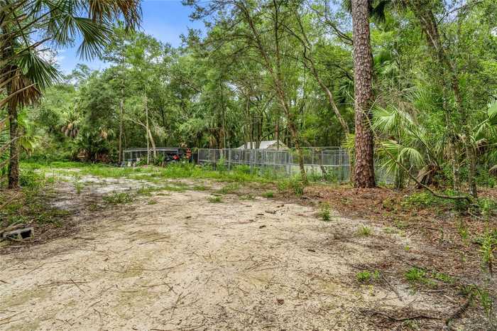 photo 1: NW 25TH STREET, CHIEFLAND FL 32626