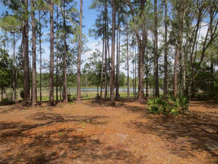 photo 2: 17528 SE 10TH STREET, SILVER SPRINGS FL 34488