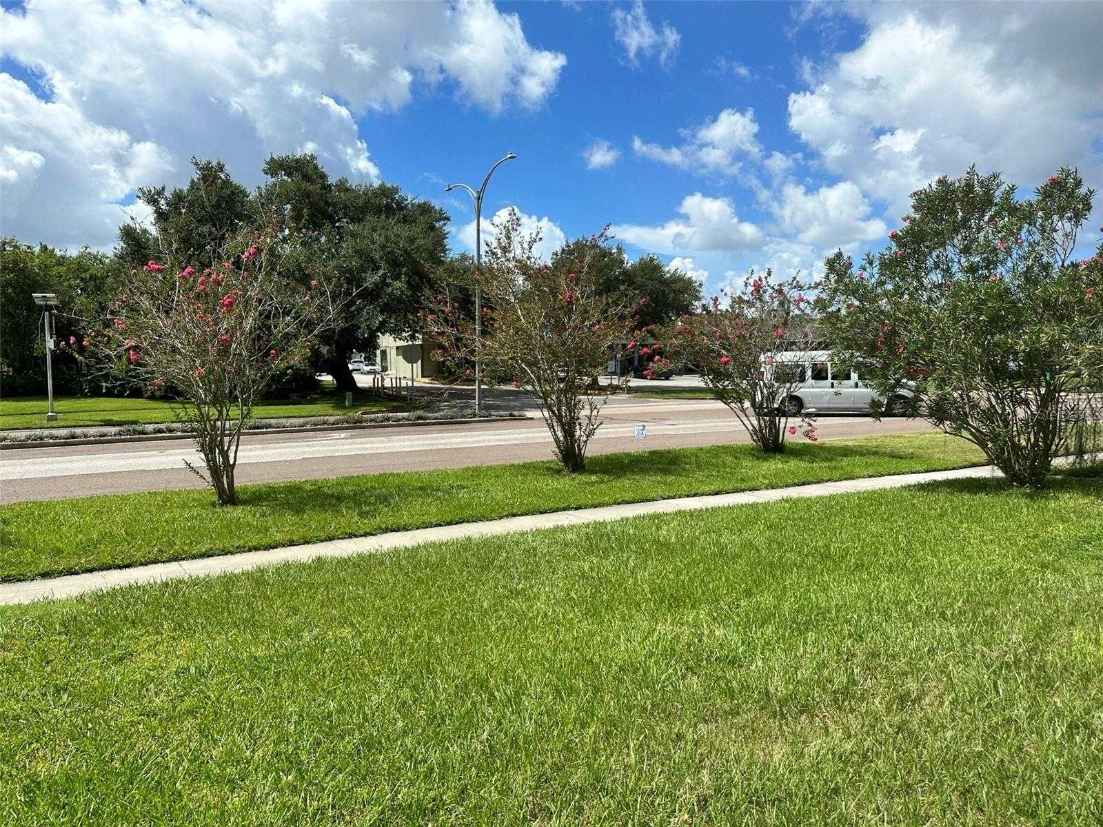 photo 3: 10312 LAKE CARROLL WAY, TAMPA FL 33618