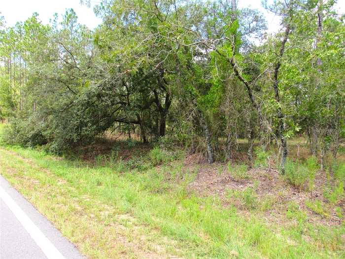 photo 2: NW RIDGEWOOD RD ROAD, DUNNELLON FL 34431