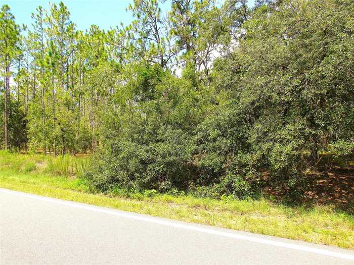 photo 8: NW RIDGEWOOD RD ROAD, DUNNELLON FL 34431