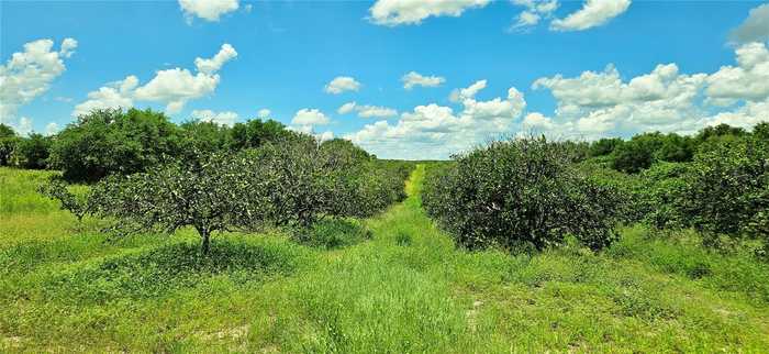 photo 4: S LAKE REEDY BOULEVARD, FROSTPROOF FL 33843