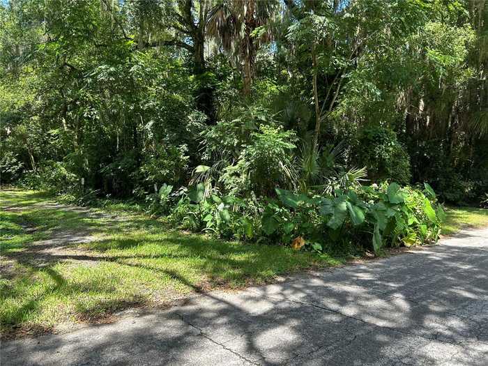 photo 2: 501 RYLANE STREET, DE LEON SPRINGS FL 32130