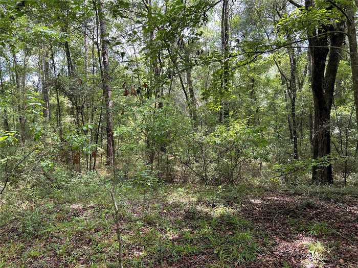 photo 15: Lot 8 SW HILL CREEK DRIVE, LAKE CITY FL 32025