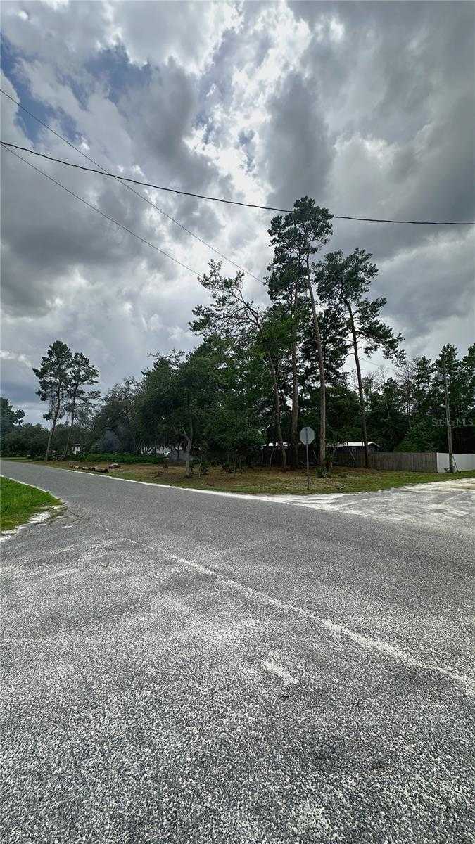 photo 3: CAMELLIA STREET, PAISLEY FL 32767