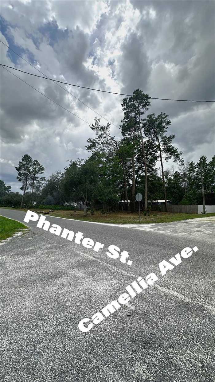 photo 4: CAMELLIA STREET, PAISLEY FL 32767