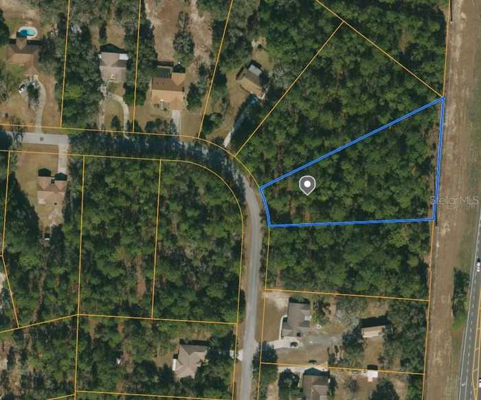 photo 10: TBD SW 201ST CIRCLE, DUNNELLON FL 34431