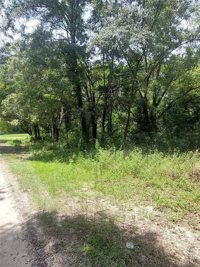 photo 1: SW 110 PLACE Unit LOT 12, DUNNELLON FL 34432