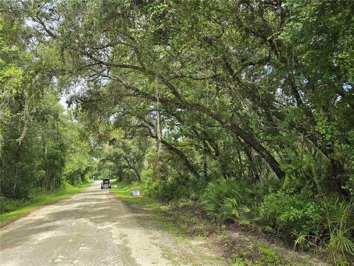 photo 7: ROSE BLOOM AVENUE, WEBSTER FL 33597