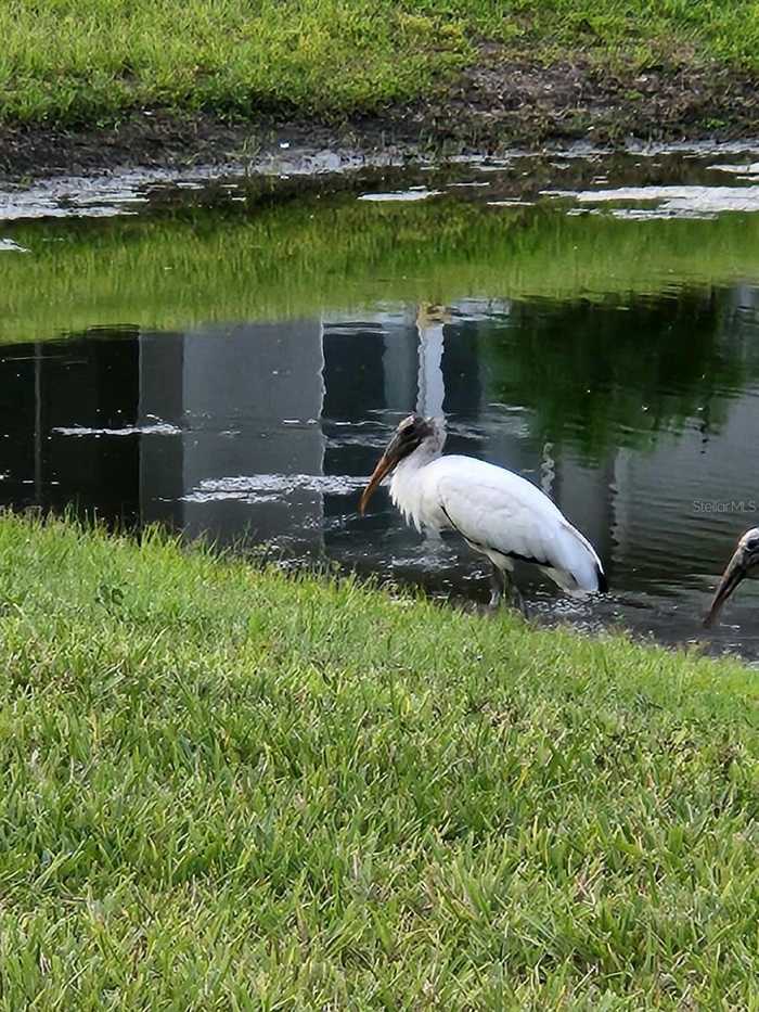 photo 38: 1621 DELPHI WAY, NEW SMYRNA BEACH FL 32168