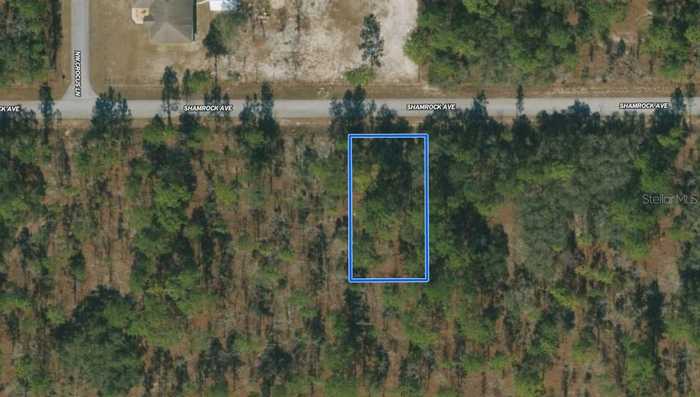 photo 1: SHAMROCK AVENUE, DUNNELLON FL 34431