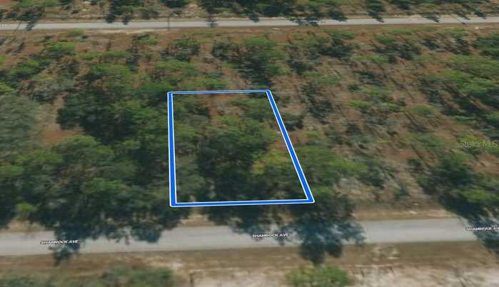 photo 4: SHAMROCK AVENUE, DUNNELLON FL 34431