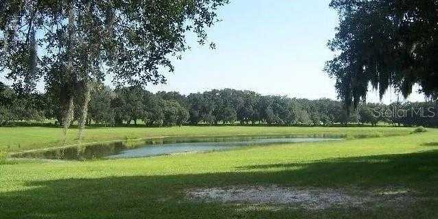 photo 3: TBD SW 103RD PLACE, DUNNELLON FL 34432