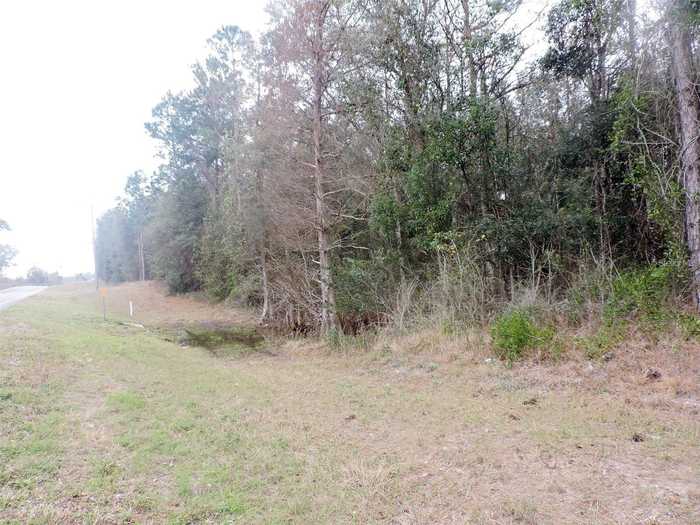 photo 1: TBD N STATE ROAD 21, HAWTHORNE FL 32640