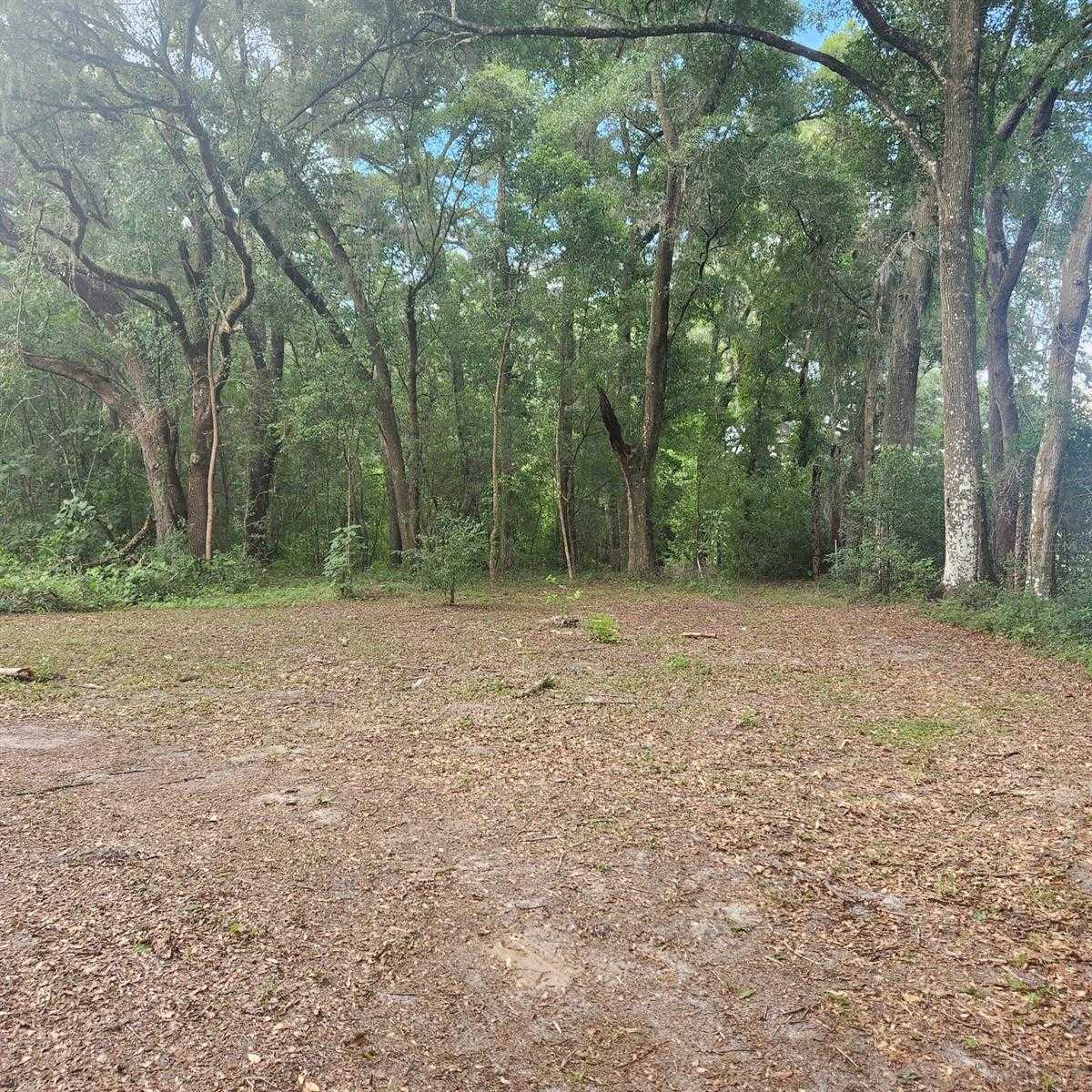 photo 1: TBD SE 36TH AVENUE, OCALA FL 34480