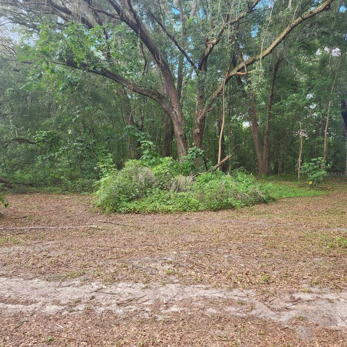 photo 2: TBD SE 36TH AVENUE, OCALA FL 34480