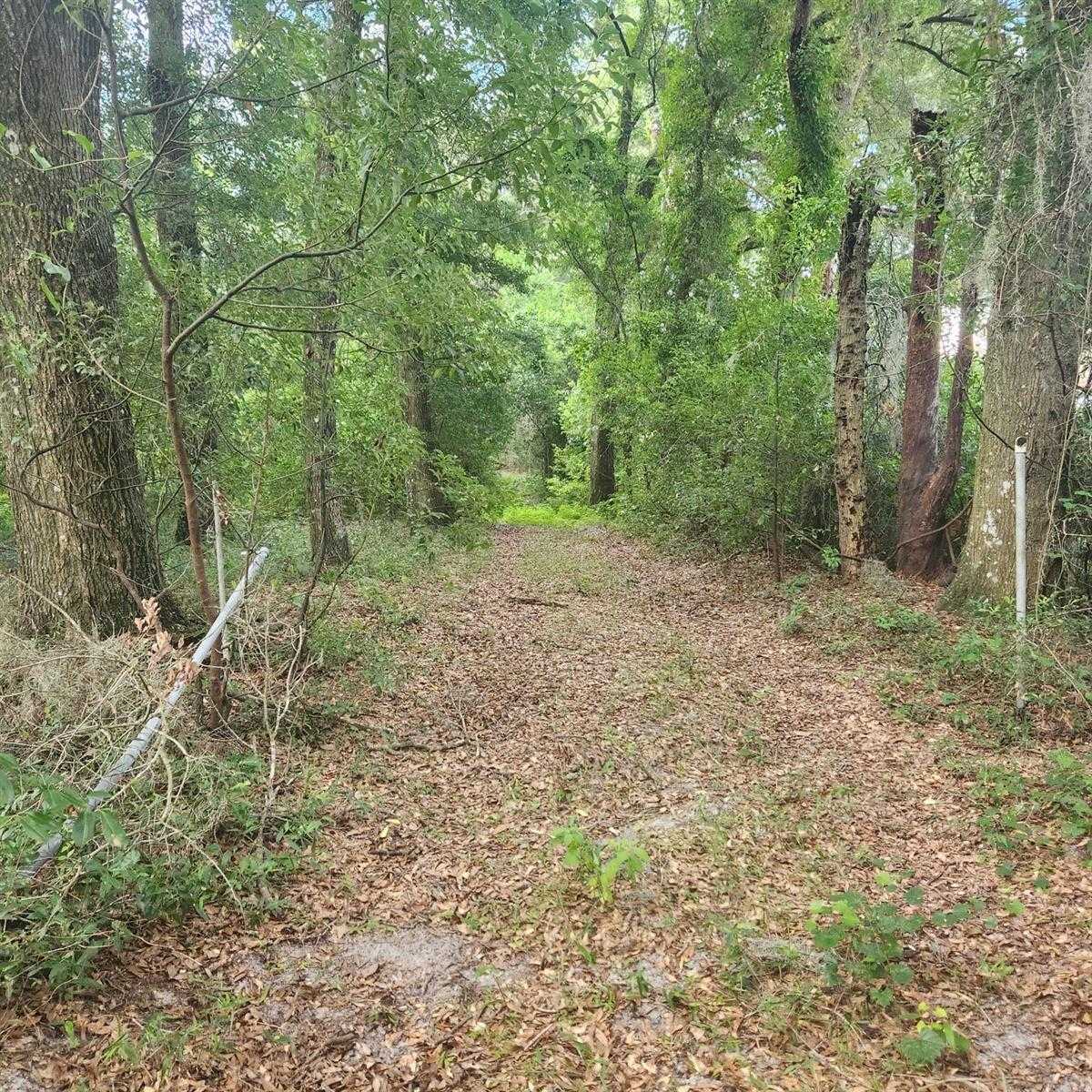 photo 3: TBD SE 36TH AVENUE, OCALA FL 34480