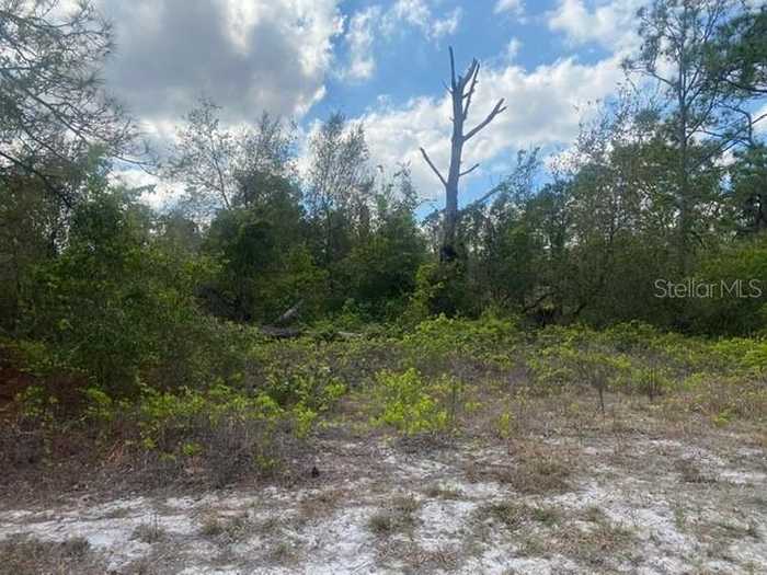 photo 1: 362 CONCERT DRIVE, LAKE PLACID FL 33852