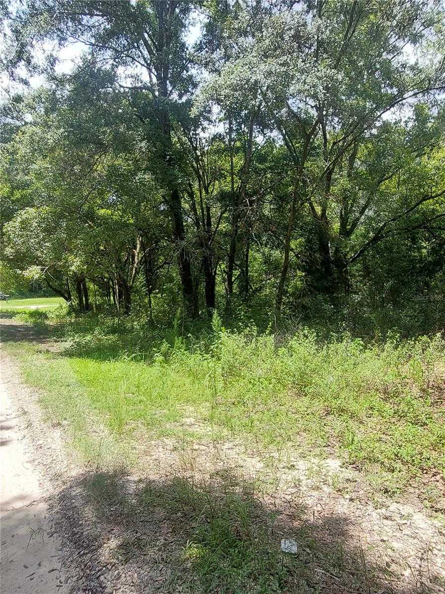 photo 1: TBD SW 110 PLACE Unit LOT 10, DUNNELLON FL 34432