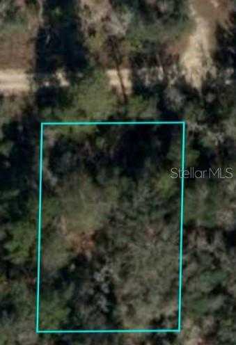 photo 1: NE 64TH PLACE, WILLISTON FL 32696